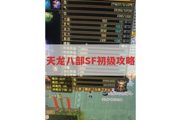 天龙八部SF初级攻略