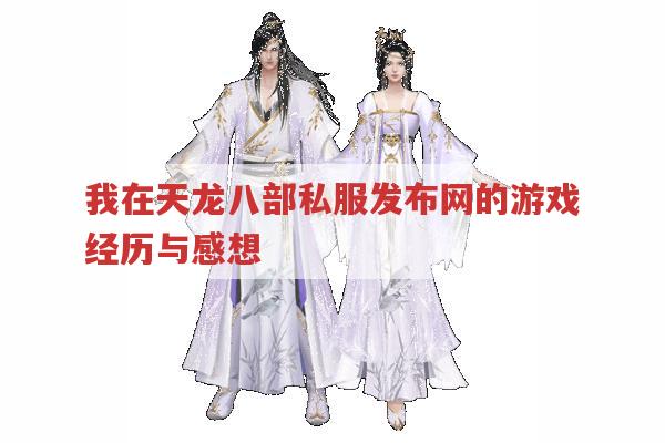 我在天龙八部私服发布网的游戏经历与感想