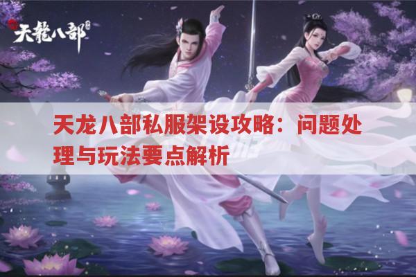 天龙八部私服架设攻略：问题处理与玩法要点解析