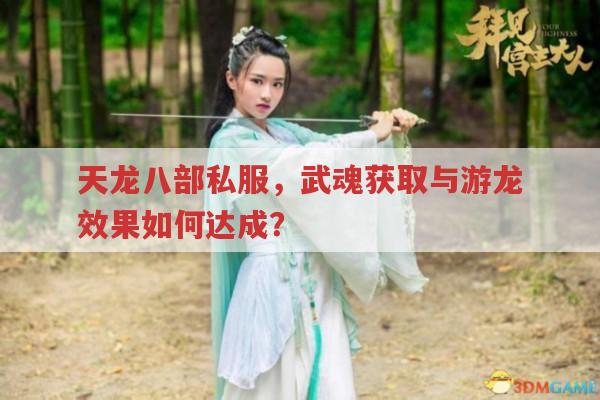 天龙八部私服武魂获取与游龙效果达成方法