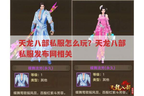 天龙八部私服，下载、账号、辅助及我的体验